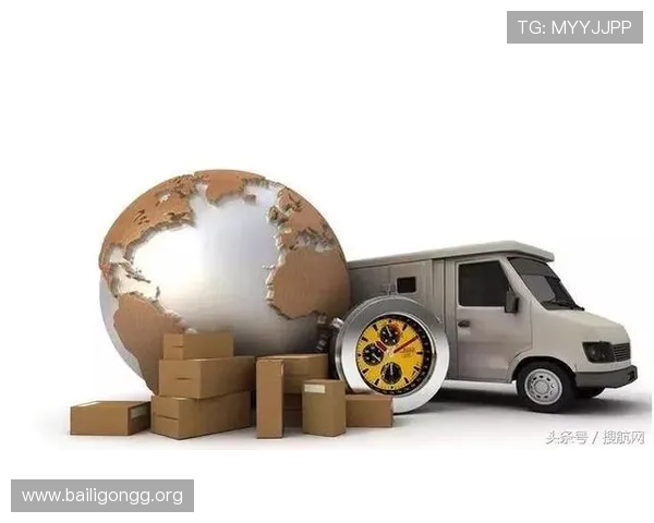 全面解析盈丰国际控股集团的企业发展与未来前景
